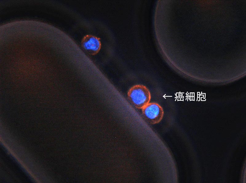 CTC研究開発・保有技術イメージその2